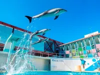 KOKO HOTEL Numazu Inter Hotels near محطة ميشيما