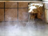 Unohamakan, a Pet-Friendly Hot Spring Inn - Hot Springs