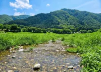 Gapyeong Yunseul Pension - Wifi