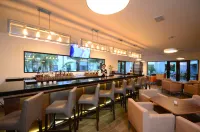 Holiday Inn TAMPICO ALTAMIRA by IHG - Barer