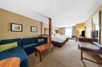 Comfort Inn & Suites West - Medical Center - 3-Star