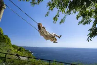Atami Season Hotel - vue sur la montagne