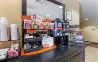 Extended Stay America Suites - Washington, DC - Landover - Lemmikkieläimet sallittu