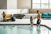 Hilton Chicago Oak Brook Hills Resort & Conference Center - piscina