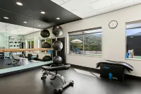 Tru by Hilton Asheville Blue Ridge Parkway - Gym