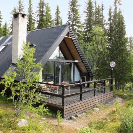 Lofsdalen Fjällbjörken