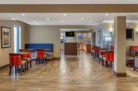 Comfort Inn & Suites Rochelle - DeKalb Hotels in Rochelle