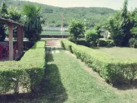Haveli Uma Megh Tourist Guest House - Wifi