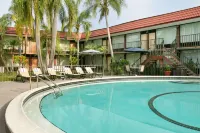 Days Inn by Wyndham Clearwater/Gulf to Bay - Pools