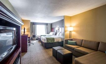 Comfort Suites Columbia - University Area