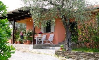 Alghero, Villa Mimosa with Garden for 6/7 People