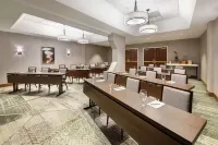 希爾頓安泊飯店-泰森斯角 - 停車場
