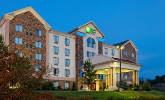 Holiday Inn Express & Suites Kingsport-Meadowview I-26