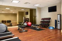 Holiday Inn Express & Suites ALPHARETTA - WINDWARD PARKWAY by IHG - Gym