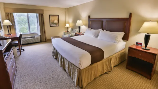 Holiday Inn Express & Suites ASHEVILLE DOWNTOWN by IHG