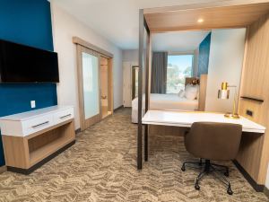 SpringHill Suites Newark Fremont