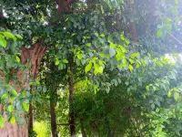 Yihuan Mountain House Featured Homestay