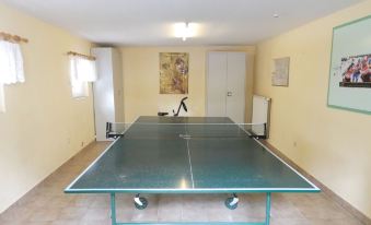 a ping pong table is set up in a room with yellow walls and beige flooring at Aurora