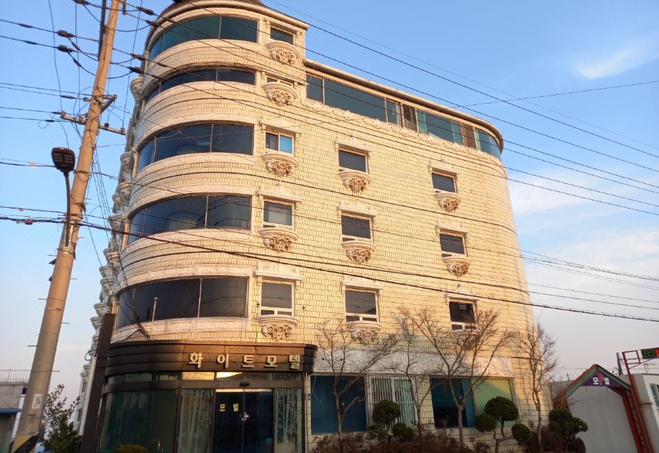 경주 양남 화이트