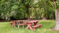 Baugh Motel, SureStay Collection by Best Western - Wifi