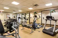 Quality Inn Near Joint Base Andrews-Washington Area - gimnasio