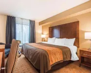 Comfort Inn & Suites Brattleboro I-91 Hotels in Dummerston