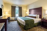 Cobblestone Hotel & Suites - Greenville Hotels in Hempfield Township