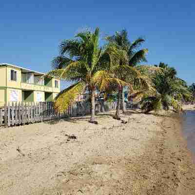 Pal's on the Beach - Dangriga, Belize Hotel Exterior