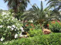 Mariamare Apts Hotels in Minoa Pediada