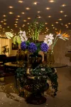 Park Hotel Sankt Peterburg - bar