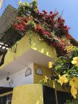 Casa del Lago Lodging House Hotels in 