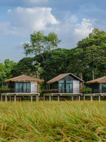 รูปภาพของนอนนาดูบัว