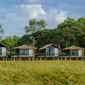 Nornnadubua Nornnadubua