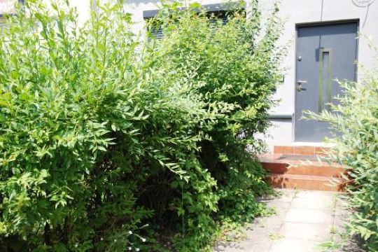 Kryjówka Męża - Housity