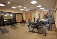 Hilton Garden Inn Cedar Falls - Kuntosalit