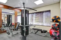 Hampton Inn by Hilton Sudbury, Ontario - Træningscentre