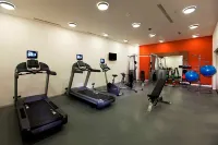 Hilton Garden Inn Sanliurfa - Gym