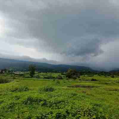 SaffronStays Mango Huts by the River, Pali Others