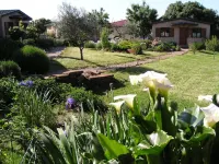 La Cerca Del Alcornoque - Villas