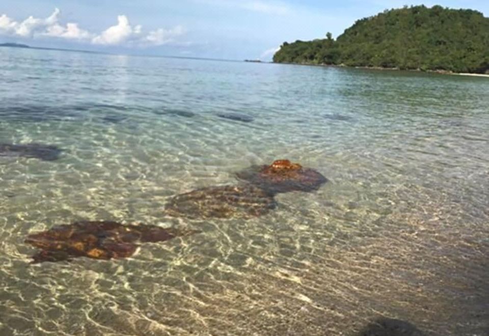 Koh Ngai Paradise Beach