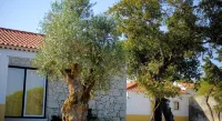 Casa Das Rendufas- Turismo Rural Com Figos
