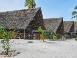 New Jambo Bungalows - Hostel