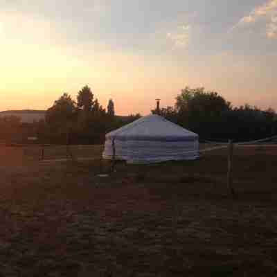 Yourte Mongole Others