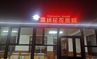 Edelweiss Hostel