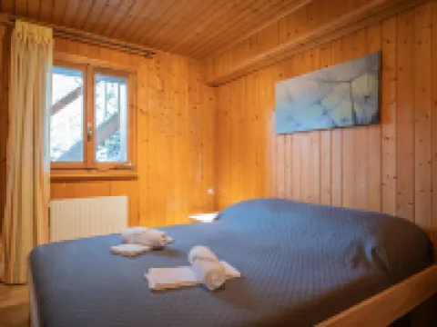 Le Tzanton Hotels in Leytron