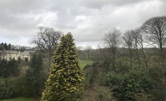 a cloudy sky above a green landscape with trees and bushes , taken from the perspective of someone standing on a balcony at Stanley Arms Hotel
