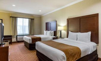 Comfort Suites Near NASA - Clear Lake - Housity
