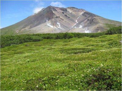 ホテル周辺 旭川トーヨーホテルの写真