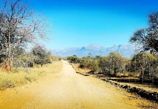 말리 말리 사파리 로지의 자연 친화적인 공간