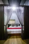Green Sea Turtle Diving B&B